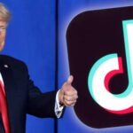  - برفيلكس - brieflex