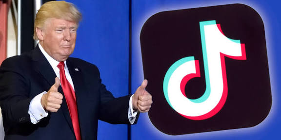  - برفيلكس - brieflex