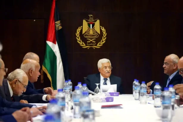  - برفيلكس - brieflex