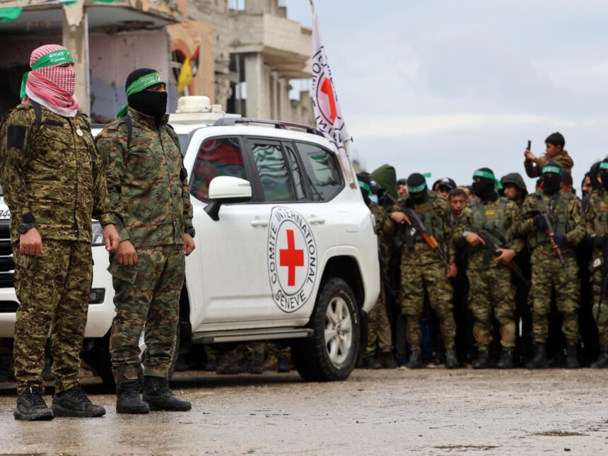  - برفيلكس - brieflex