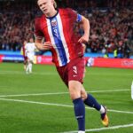  - برفيلكس - brieflex