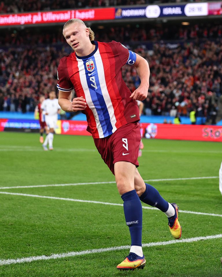  - برفيلكس - brieflex