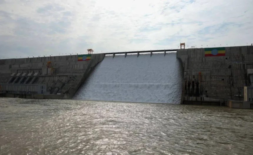  - برفيلكس - brieflex