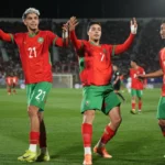  - برفيلكس - brieflex