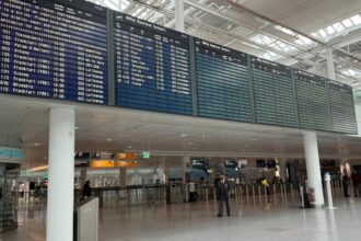  - برفيلكس - brieflex