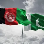  - برفيلكس - brieflex