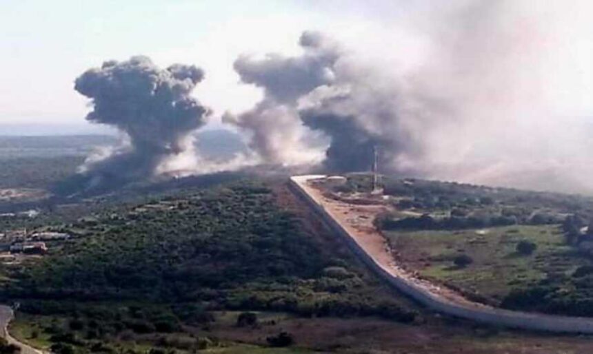  - برفيلكس - brieflex