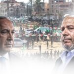  - برفيلكس - brieflex