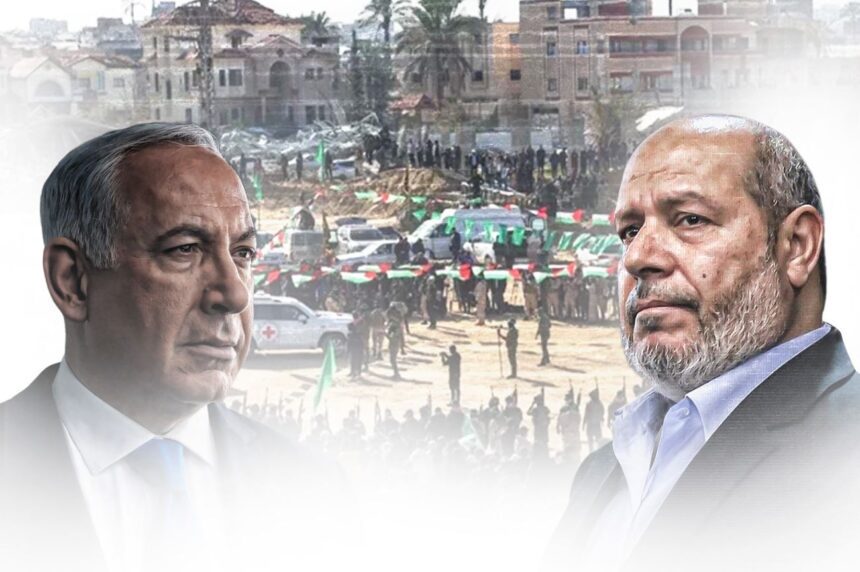  - برفيلكس - brieflex