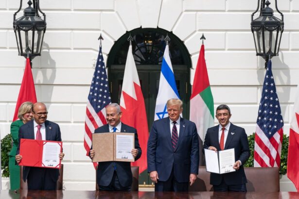  - برفيلكس - brieflex