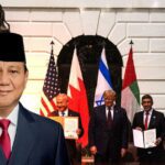  - برفيلكس - brieflex