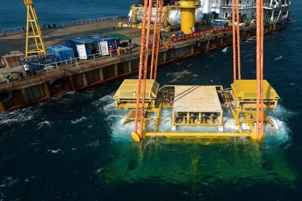  - برفيلكس - brieflex