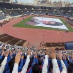  - برفيلكس - brieflex