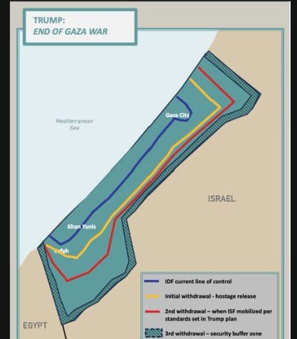  - برفيلكس - brieflex
