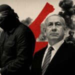  - برفيلكس - brieflex