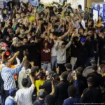  - برفيلكس - brieflex