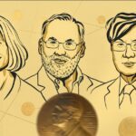  - برفيلكس - brieflex