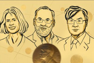  - برفيلكس - brieflex