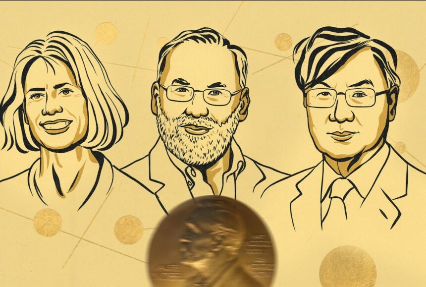  - برفيلكس - brieflex