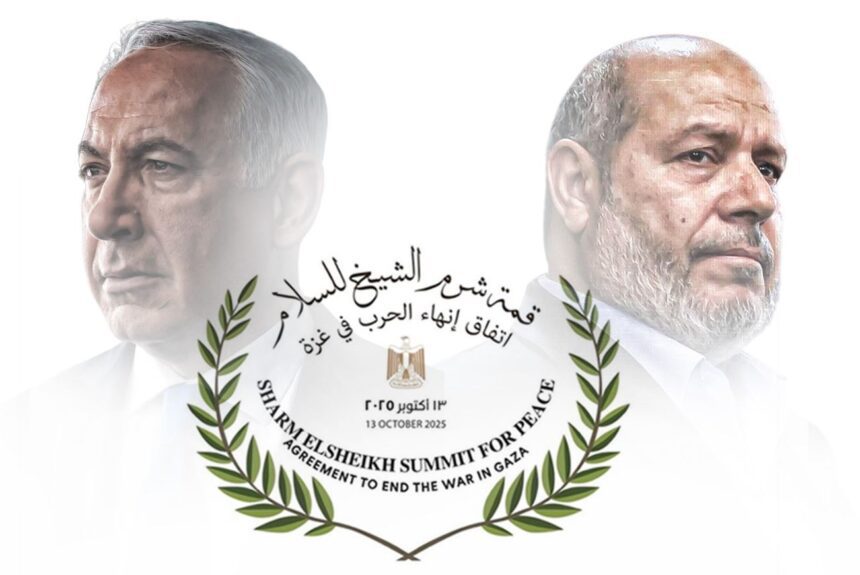  - برفيلكس - brieflex