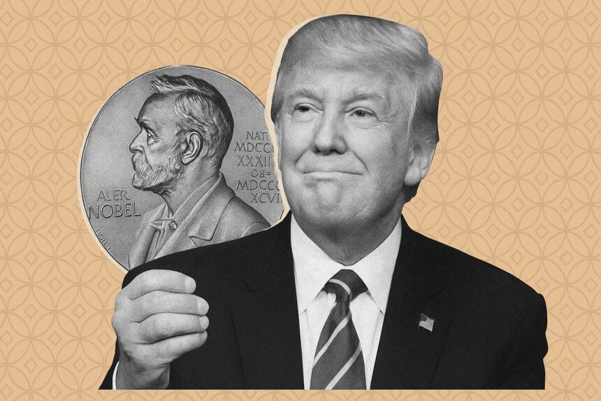  - برفيلكس - brieflex