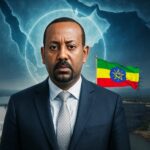  - برفيلكس - brieflex