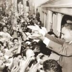  - برفيلكس - brieflex