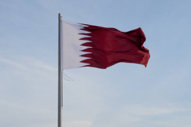  - برفيلكس - brieflex