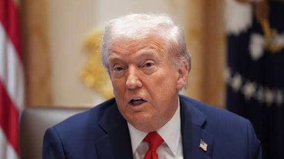  - برفيلكس - brieflex