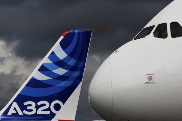  - برفيلكس - brieflex