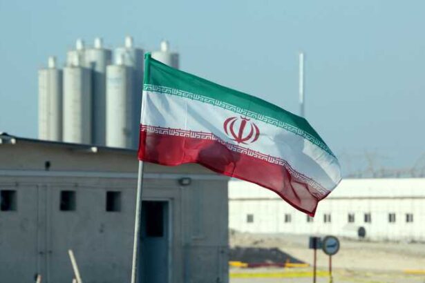  - برفيلكس - brieflex