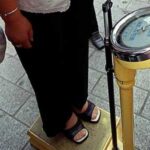  - برفيلكس - brieflex