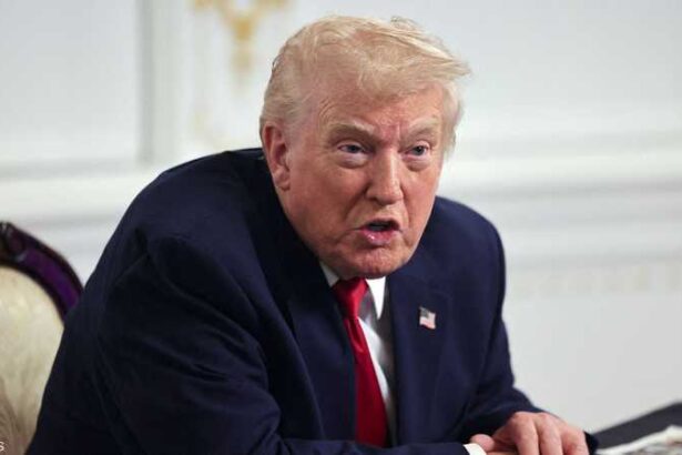  - برفيلكس - brieflex