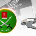  - برفيلكس - brieflex