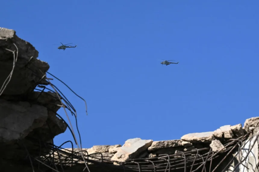  - برفيلكس - brieflex