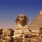  - برفيلكس - brieflex