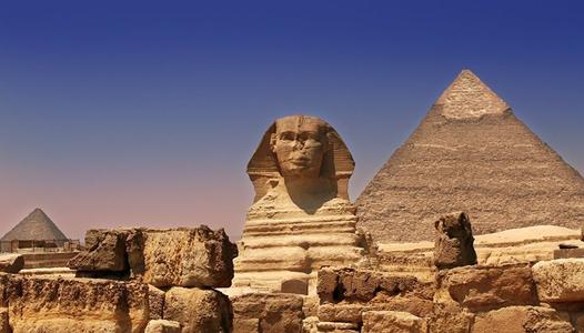  - برفيلكس - brieflex