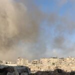  - برفيلكس - brieflex