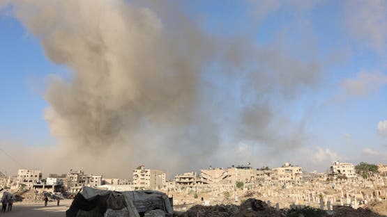  - برفيلكس - brieflex