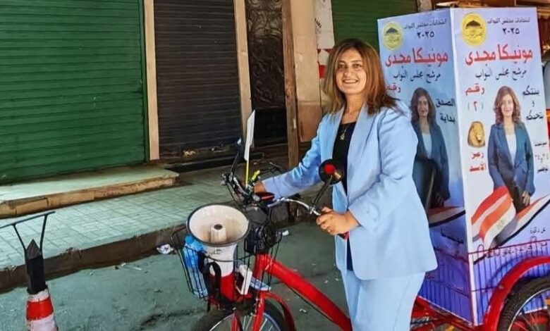  - برفيلكس - brieflex