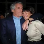  - برفيلكس - brieflex