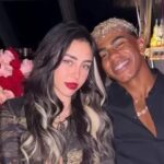  - برفيلكس - brieflex