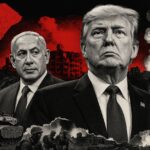  - برفيلكس - brieflex