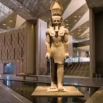  - برفيلكس - brieflex