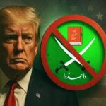  - برفيلكس - brieflex