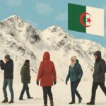  - برفيلكس - brieflex