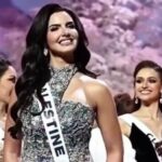  - برفيلكس - brieflex