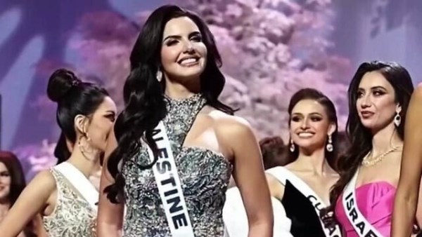  - برفيلكس - brieflex