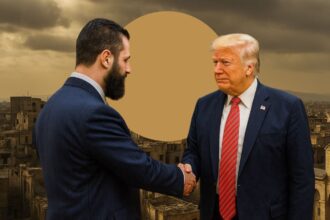  - برفيلكس - brieflex