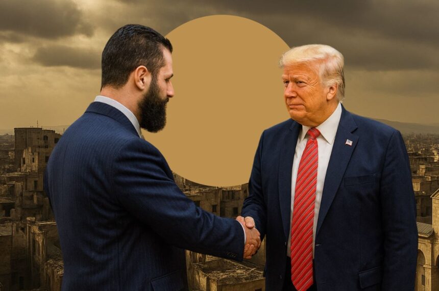  - برفيلكس - brieflex